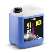 RM 670 Karcher Очищувач скла, 5 л