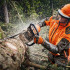 Бензопила STIHL MS 462 C-M 45 см Бензопила STIHL MS 462 C-M 45 см
